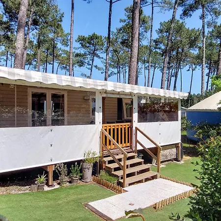 Gorgeous Stacaravan Camping