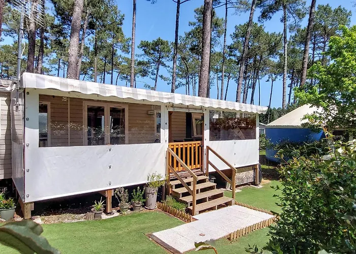 Gorgeous Stacaravan Campsite